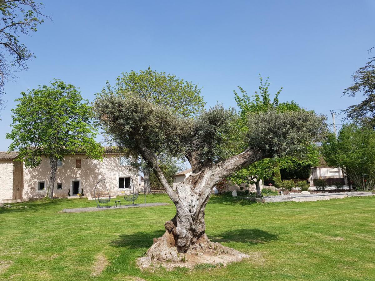 普罗旺斯地区艾克斯Le Mas De La Calade住宿加早餐旅馆 外观 照片