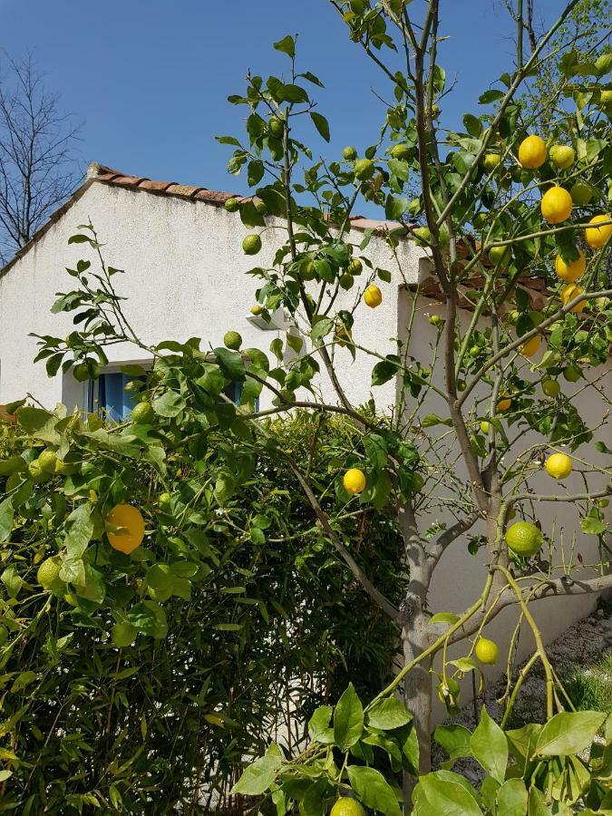 普罗旺斯地区艾克斯Le Mas De La Calade住宿加早餐旅馆 外观 照片
